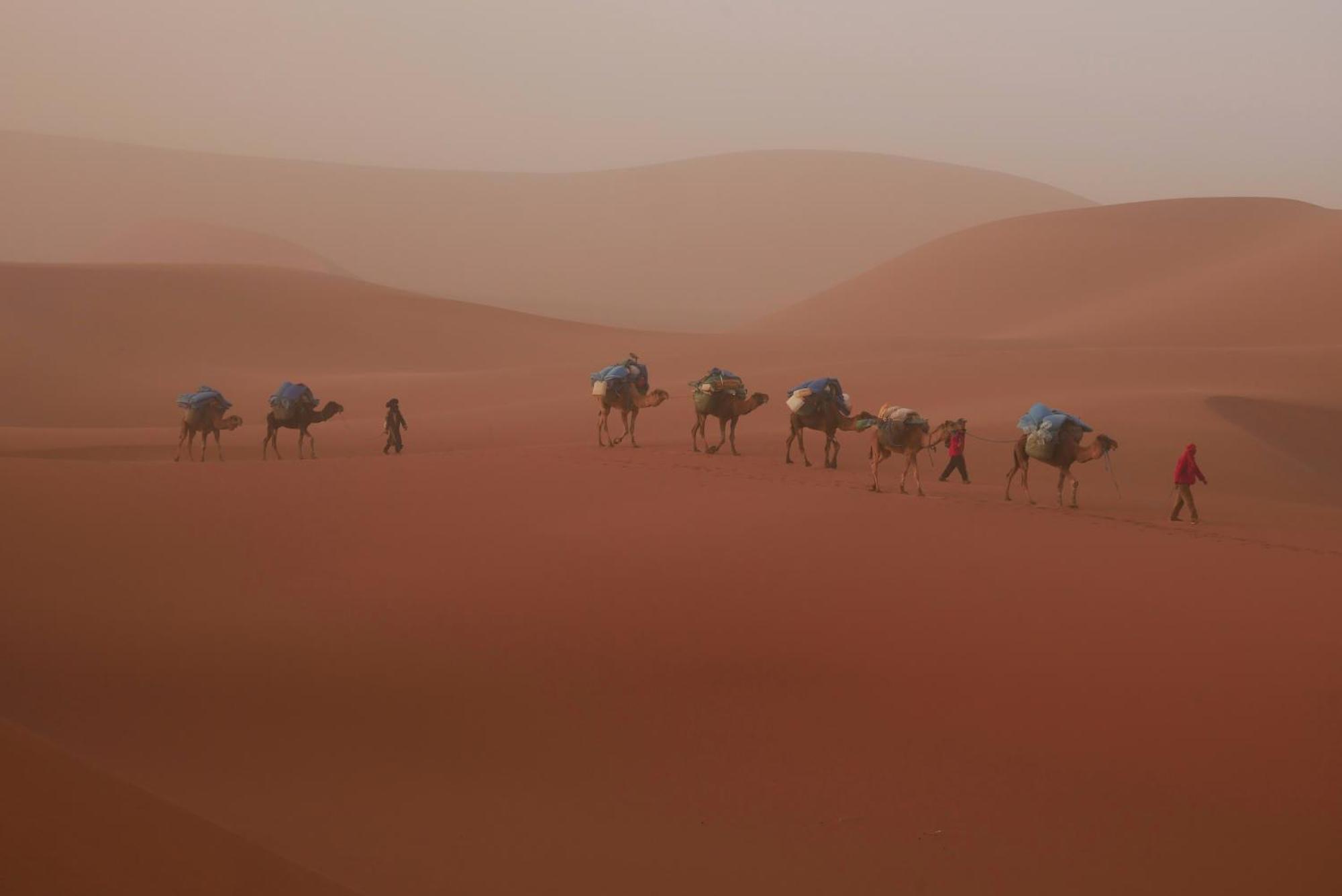 Jardin Du Desert 姆哈米德 外观 照片