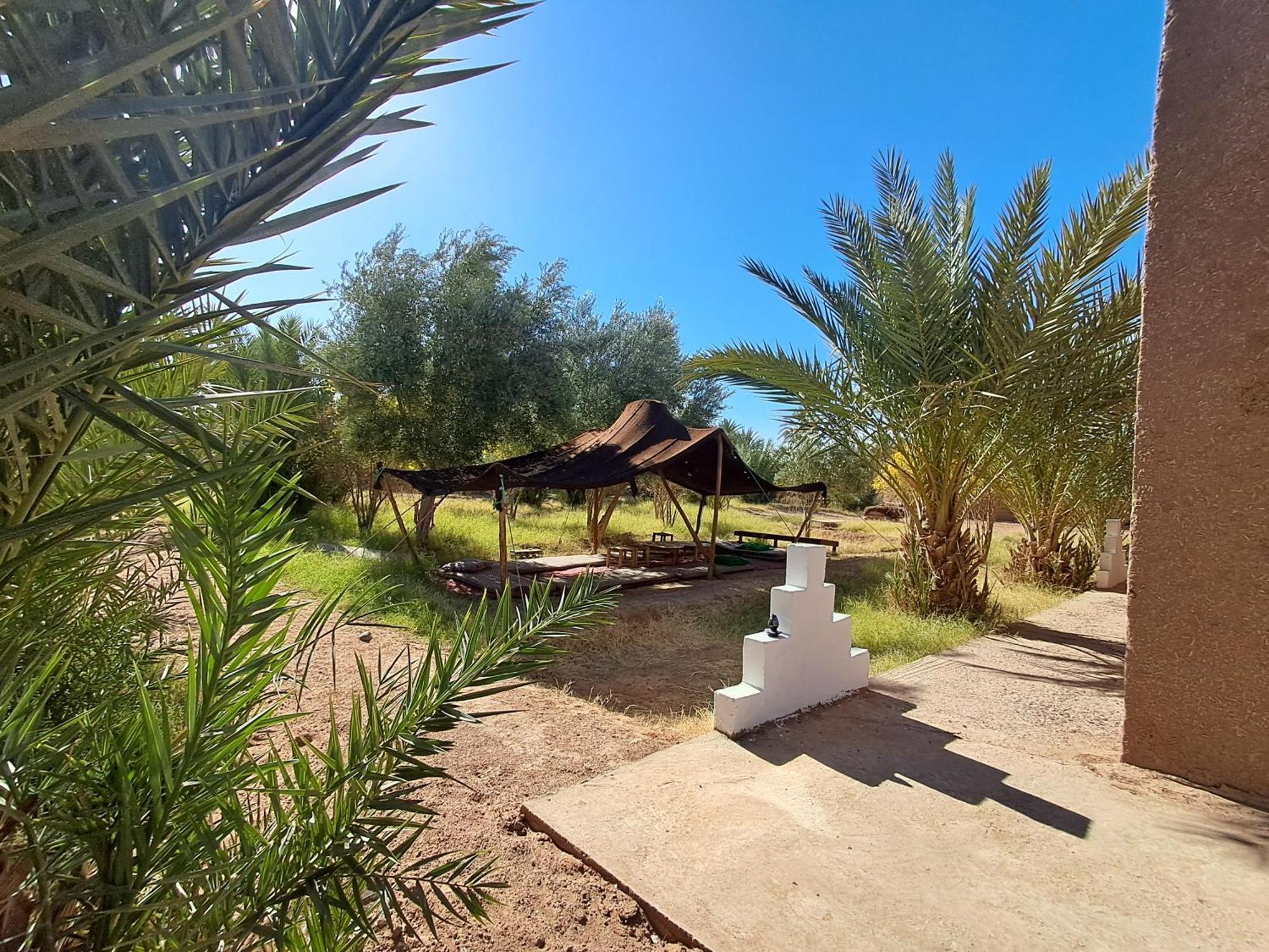 Jardin Du Desert 姆哈米德 外观 照片